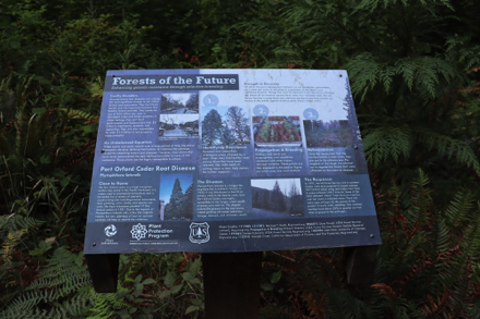 Informational signage – Forest of the Future